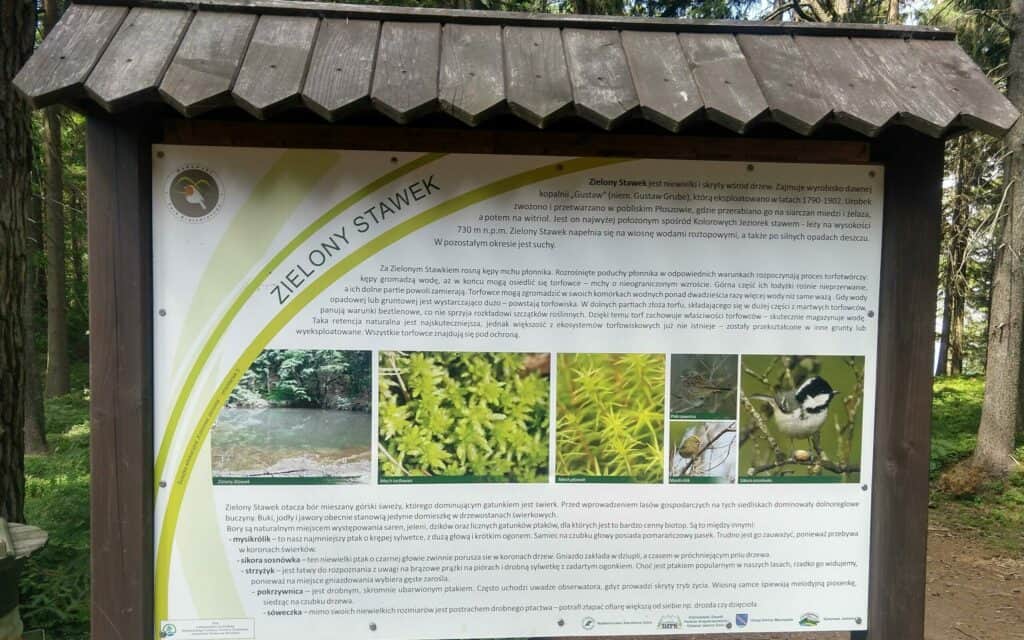 zielony stawek tablica informacyjna