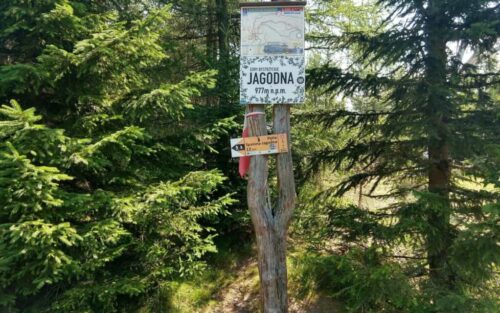 Jagodna