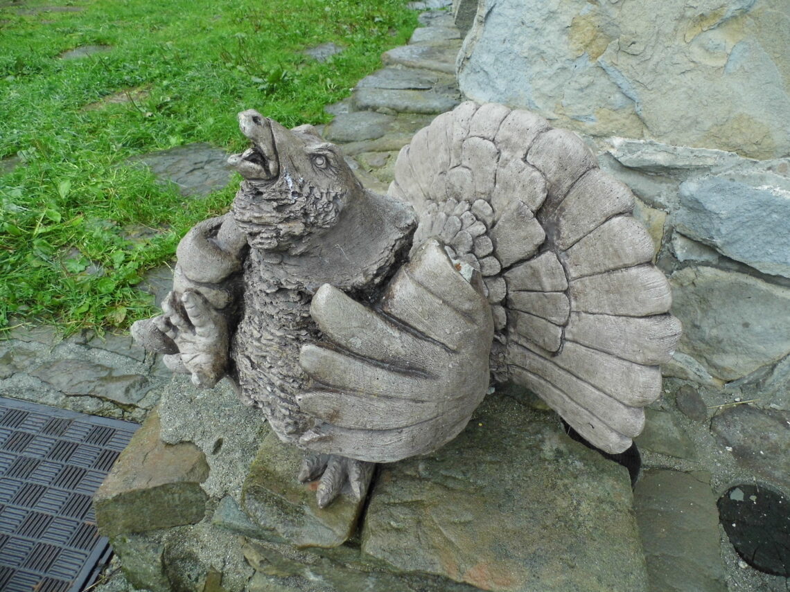 Turbacz