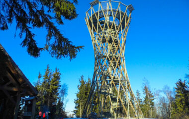 wieża widokowa borowa
