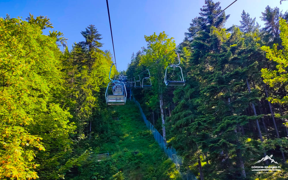 Cable car/ chairlift glides over a pine forest on a sunny day, with green slopes below and seats hanging from a cable above.