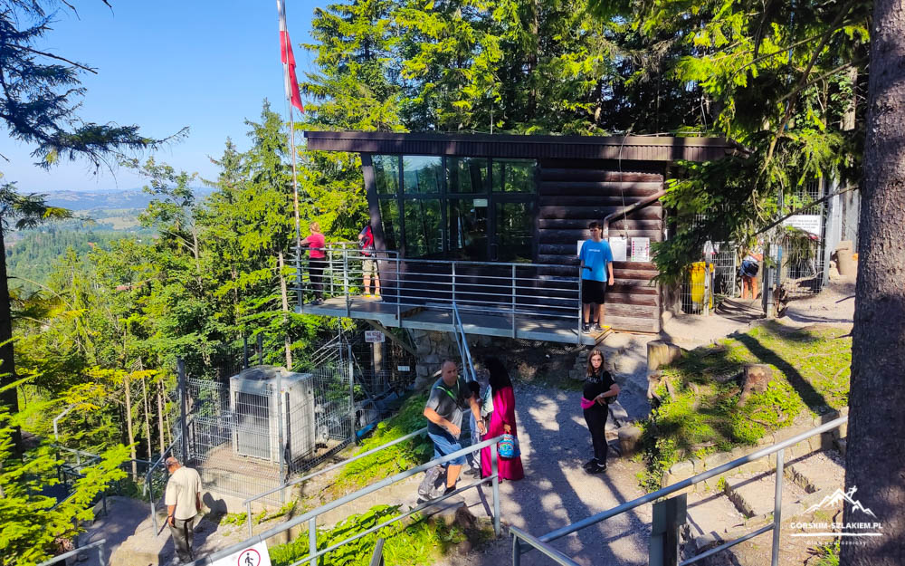 Wooden observatory on a deck among trees with visitors at the railing, overlooking a forested valley.