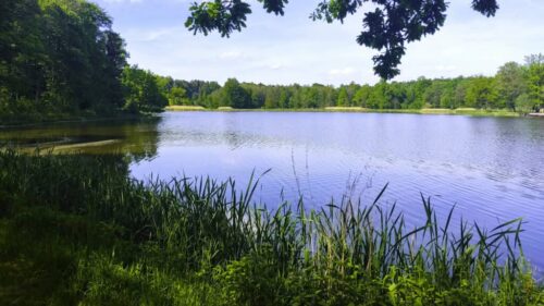 główny szlak sudecki bukowiec