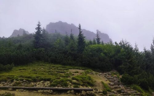 Sarnia Skała