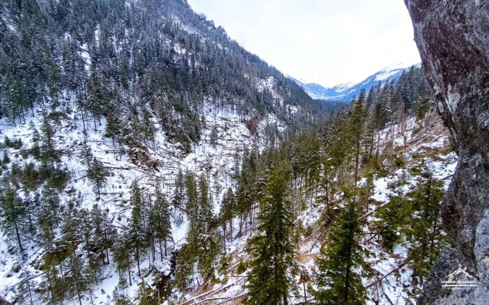 okna pawlikowskiego jaskinia mylna