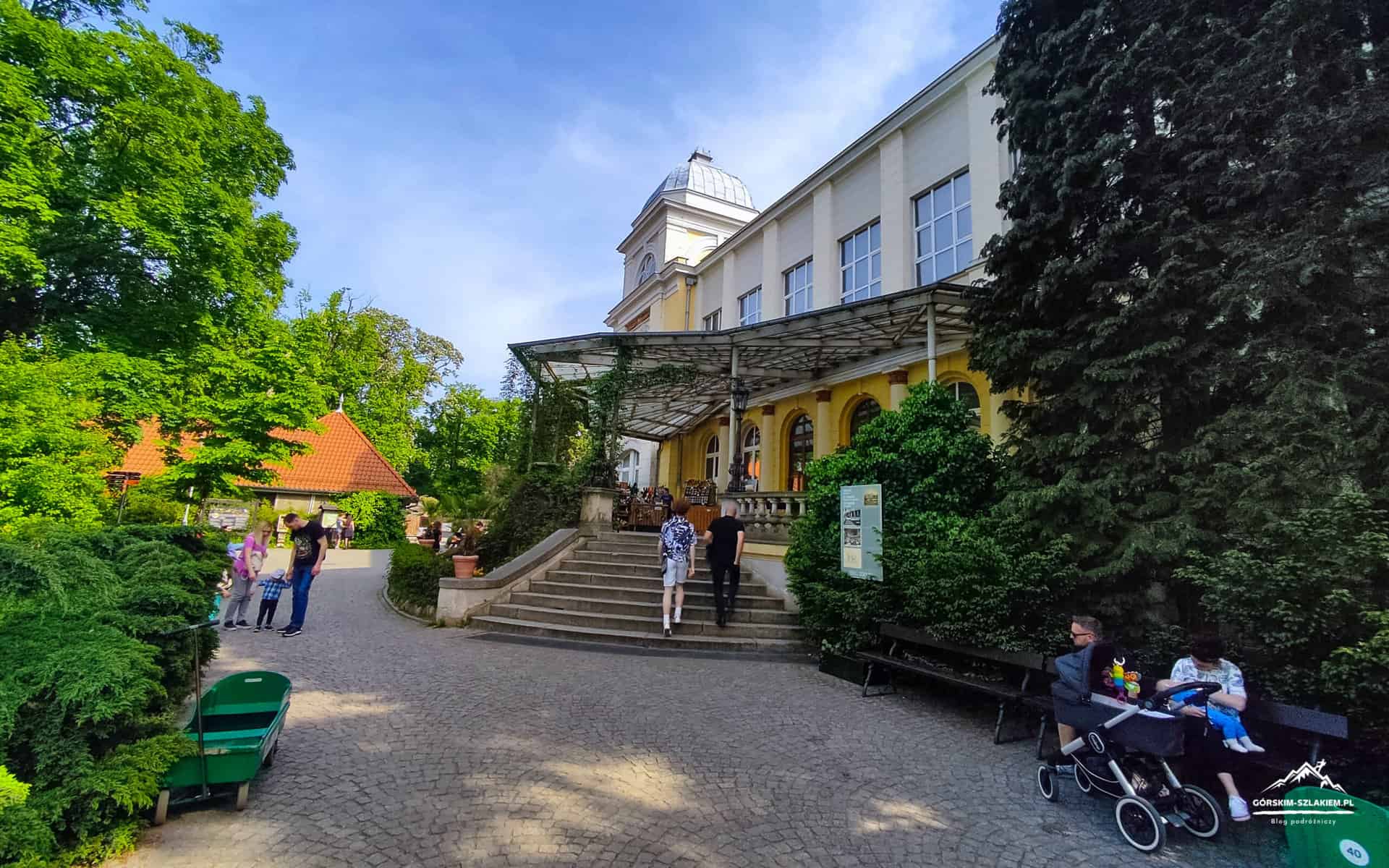 Zoo Wrocław - największa atrakcja Wrocławia - zwiedzanie, ceny biletów