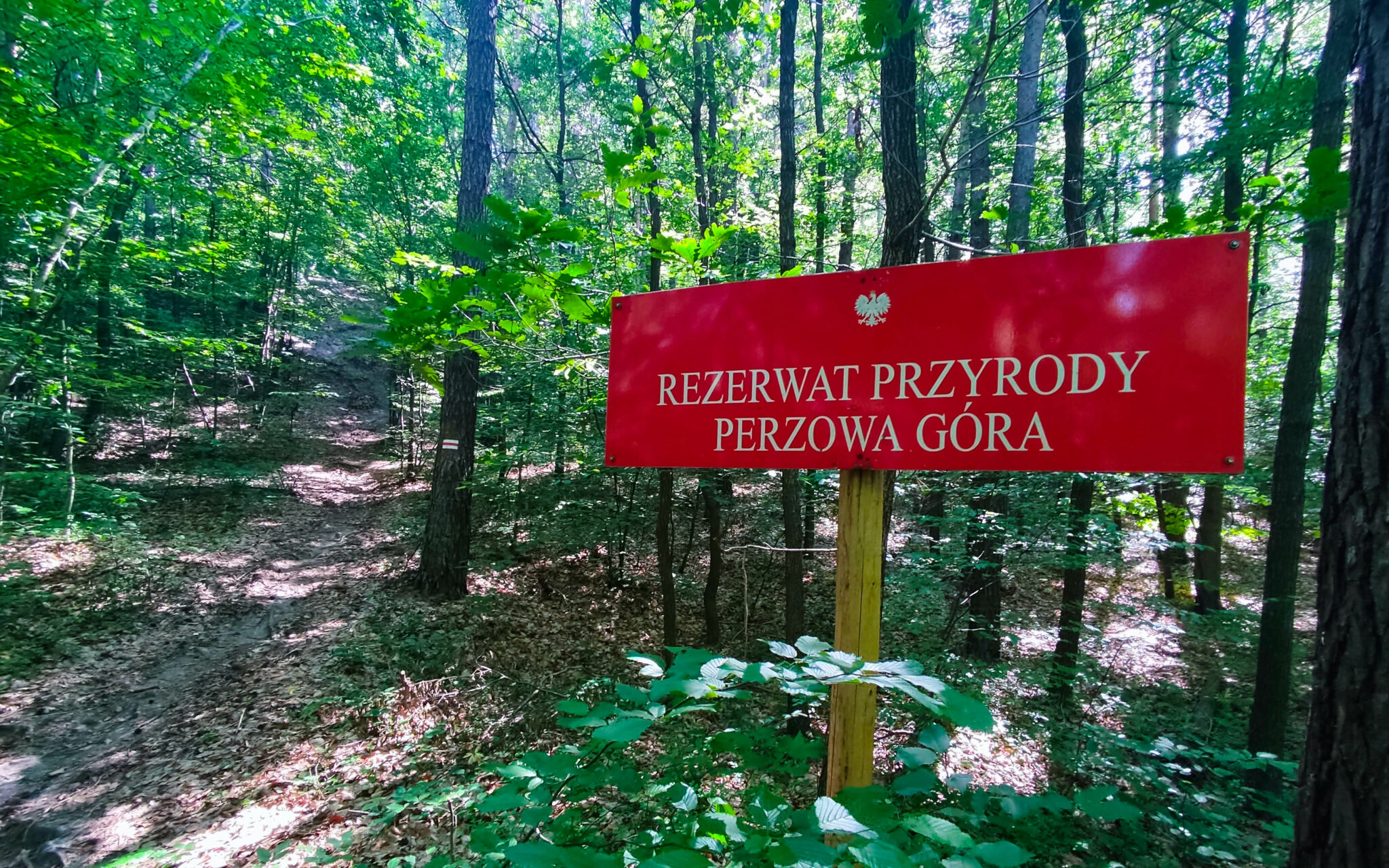 Perzowa G ra I Kapliczka w Rozalii Wycieczka Z Ku niak w G rskim perzowa-g-ra-i-kapliczka-w-rozalii-wycieczka-z-ku-niak-w-g-rskim