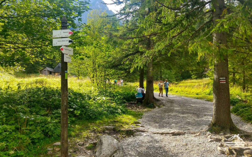 dolina strążyska szlaki