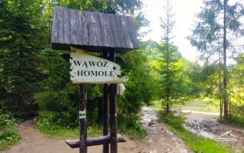 Wąwóz Homole atrakcja Pienin