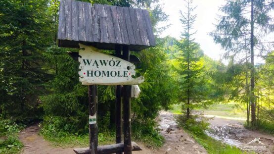 Wąwóz Homole atrakcja Pienin