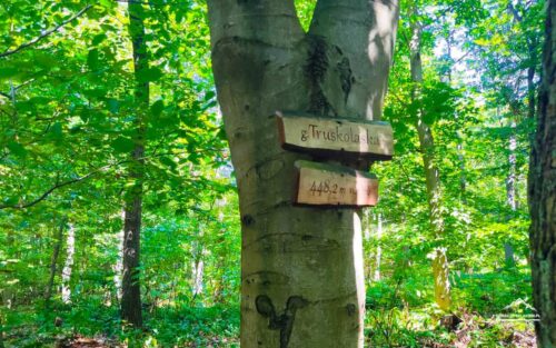 Truskolaska i Wesołówka