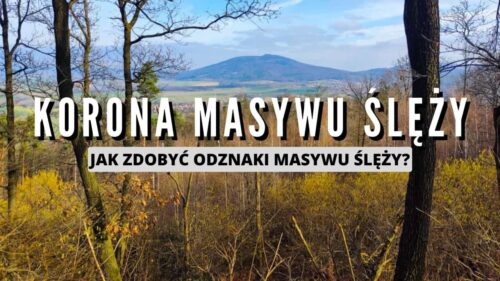 KORONA MASYWU ŚLĘŻY