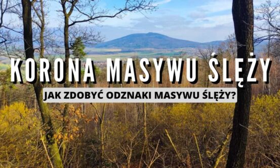 KORONA MASYWU ŚLĘŻY