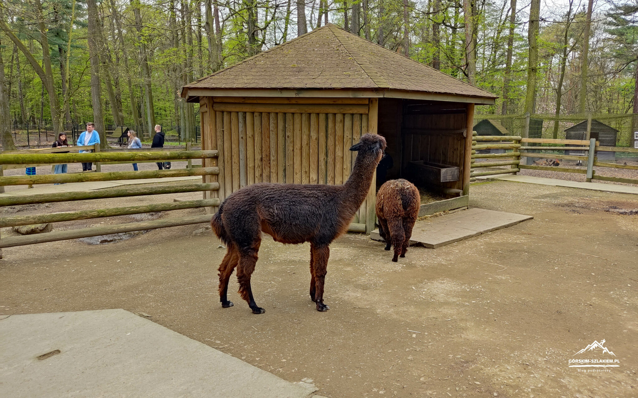 Zoo Kraków, zwiedzanie, godziny otwarcia - Ogród Zoologiczny w Krakowie