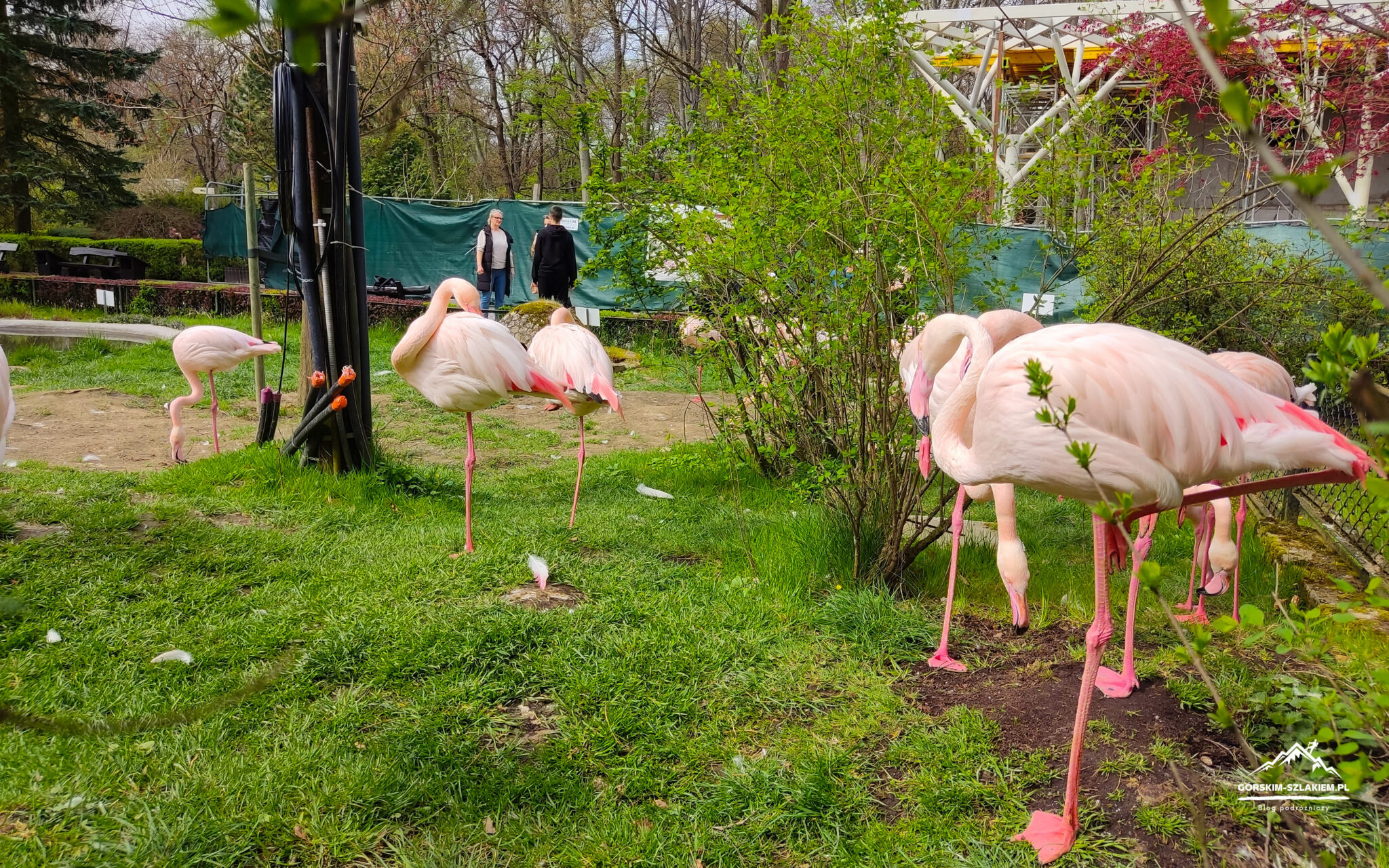 Zoo Kraków, zwiedzanie, godziny otwarcia - Ogród Zoologiczny w Krakowie