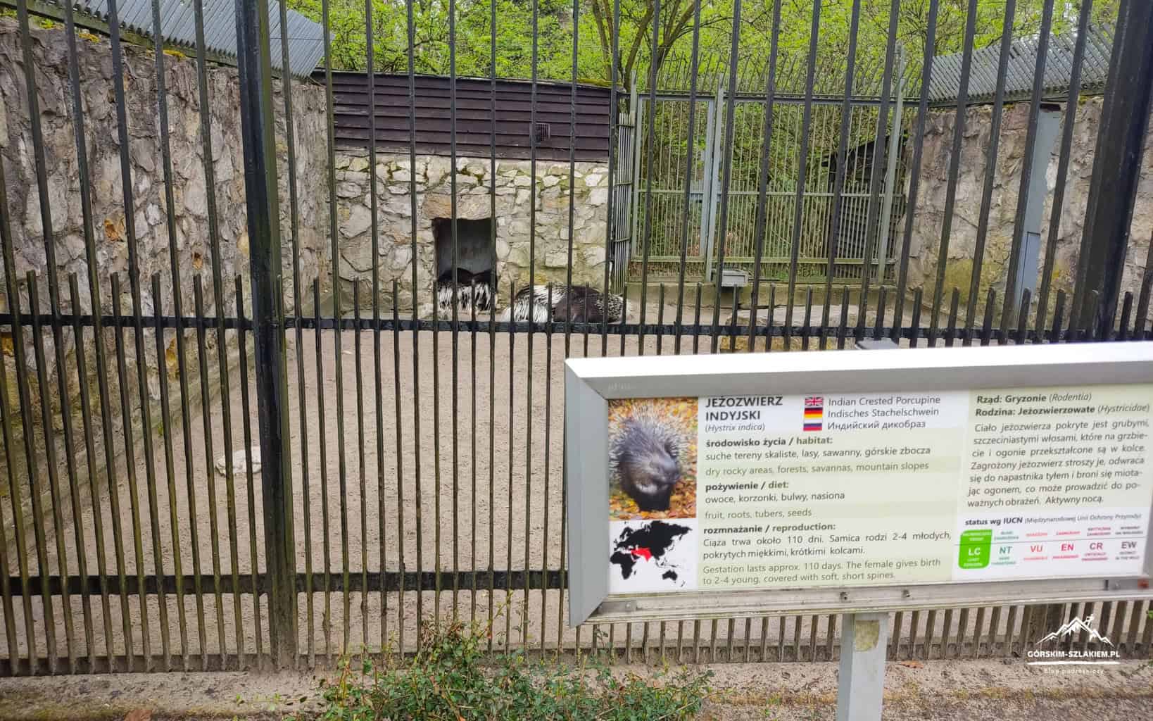 Zoo Kraków, zwiedzanie, godziny otwarcia - Ogród Zoologiczny w Krakowie