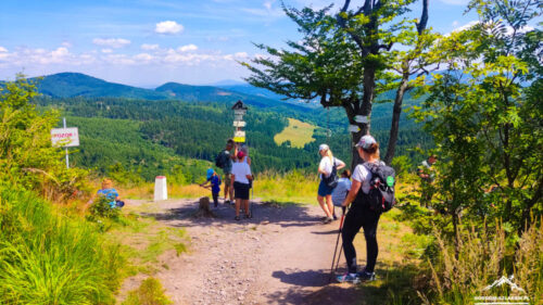 Ruprechticki Szpiczak