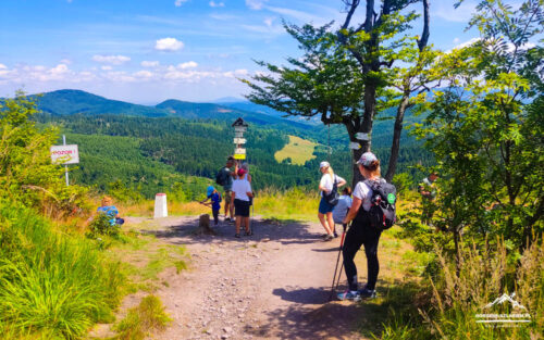 Ruprechticki Szpiczak