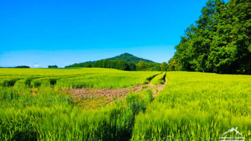 Ostrzyca Proboszczowicka