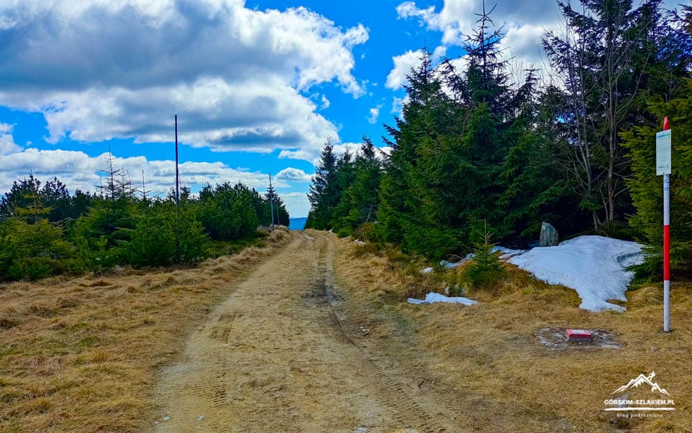 Dirt trail winds through a pine forest under a blue sky with clouds; snow patches on the right edge.