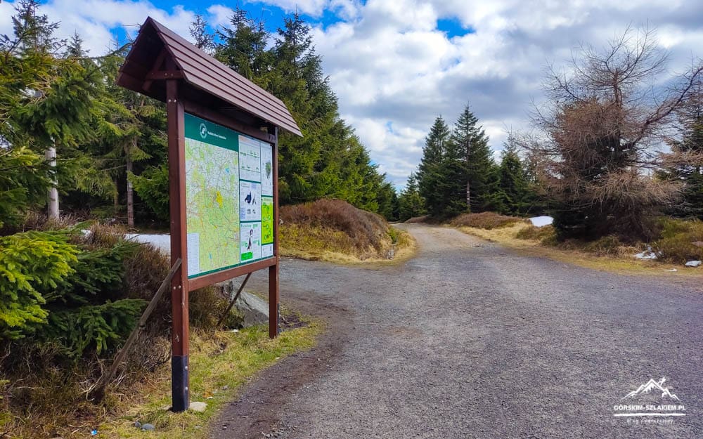 Wooden information sign with a trail map beside a forest path. A gravel walkway winds into the trees.