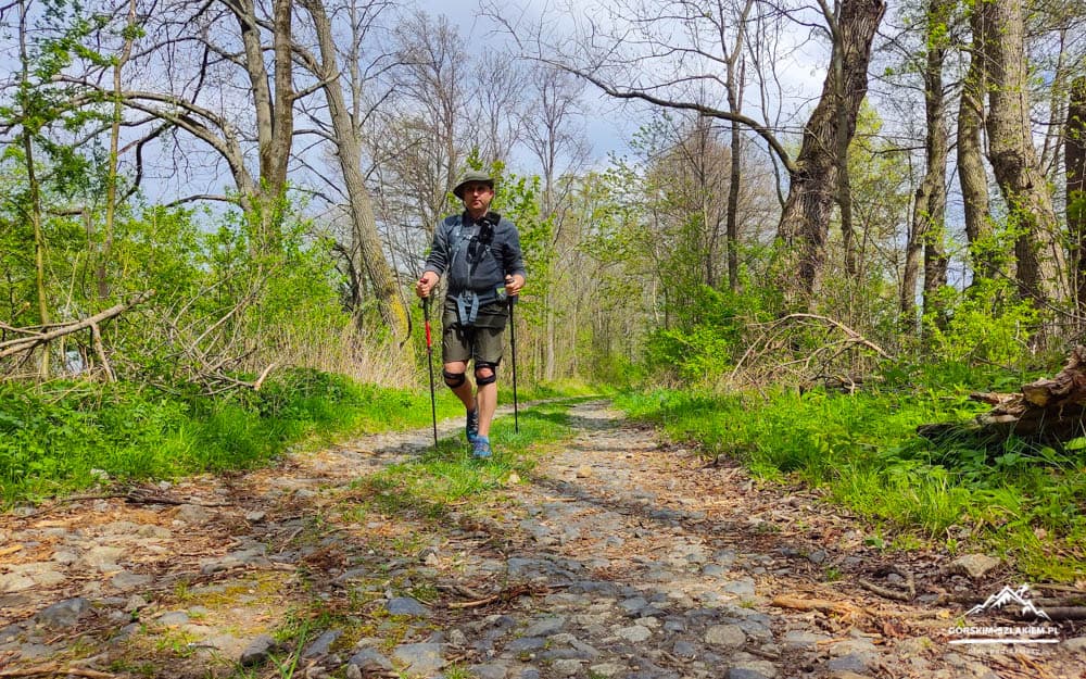 Hiker walking along a rocky forest trail with trekking poles, wearing a hat and knee supports.