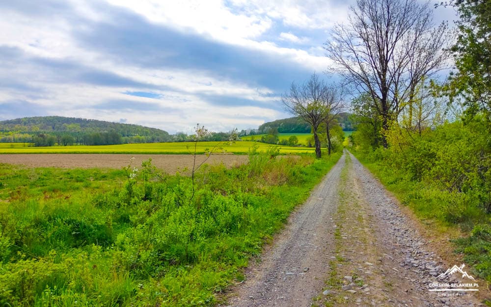 Gravel country road winding through green fields and trees under a cloudy blue sky.