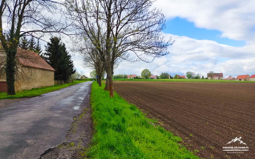 Rural road runs along a grassy verge with trees, a plowed field on the right, and distant houses under a cloudy sky.