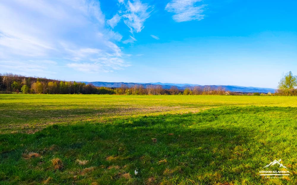 Wide grassy field under a bright blue sky with distant hills and a treeline on the horizon; branding in the bottom-right corner,