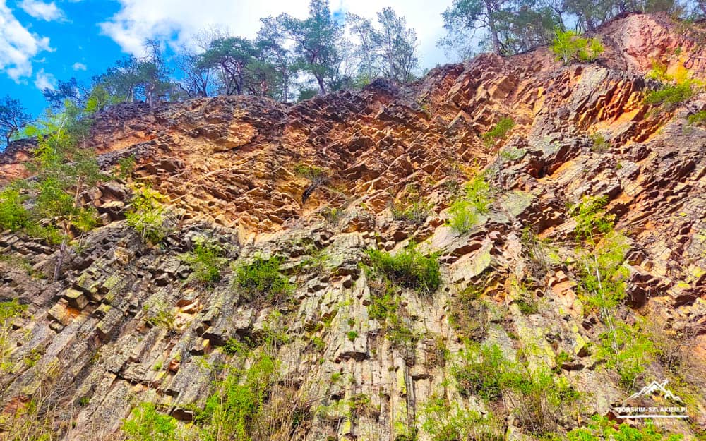 Steep rock cliff showing hexagonal columnar basalt with sparse green shrubs and a bright blue sky above.