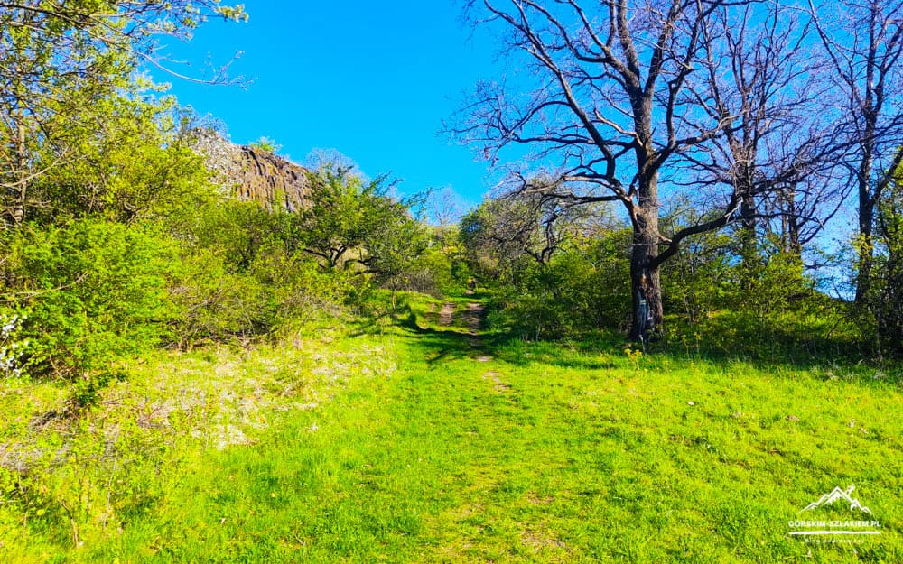 Sunlit grassy path winding through a woodland with a rocky hill to the left and a bright blue sky above.