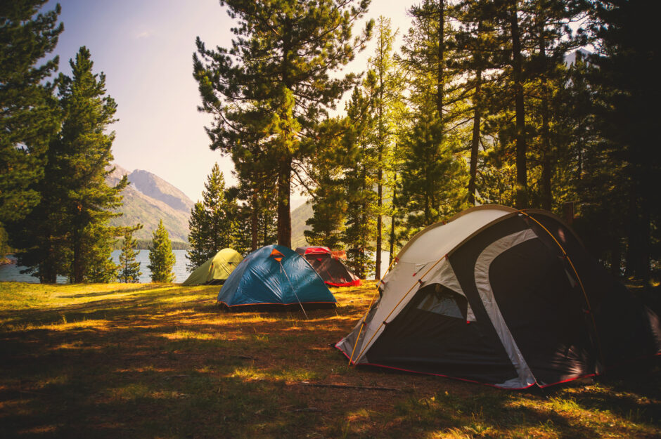 Colorful tents pitched in a forest clearing beside a lake, with mountains in the background under sunny skies.