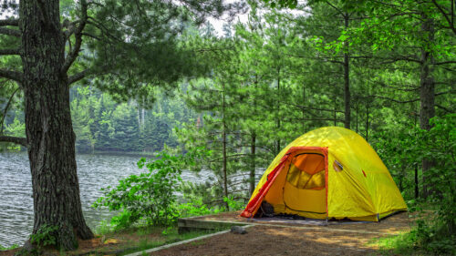 Bright yellow tent pitched on a lakeside shore among tall green trees and calm water nearby.