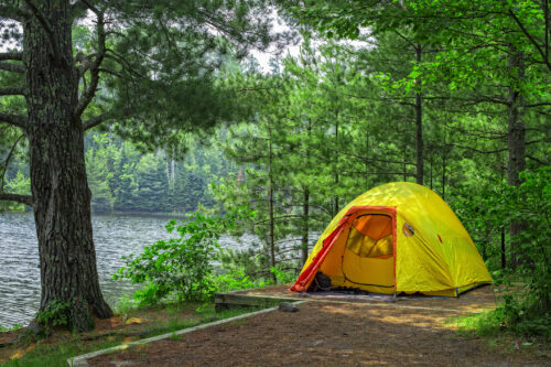 Bright yellow tent pitched on a lakeside shore among tall green trees and calm water nearby.