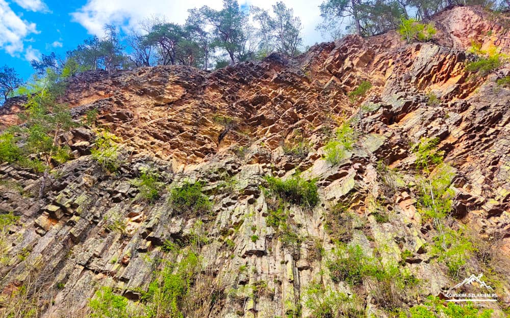 Cliff of hexagonal basalt columns with sparse greenery and a blue sky above.