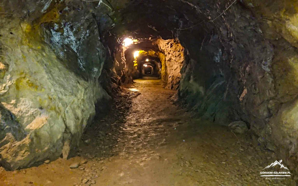 Dim cave tunnel with rough rock walls, a muddy path, and warm ceiling lights fading into the distance.