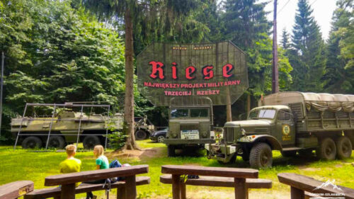 RIESE Włodarz