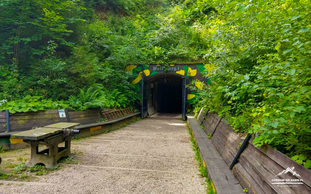 Path leads to a dark mine tunnel entrance framed by dense green vegetation and wooden seating on both sides.