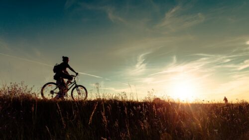 Silhouetted cyclist riding a mountain bike along a grassy hill at sunset.