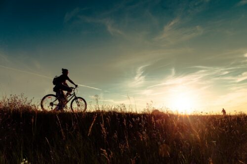 Silhouetted cyclist riding a mountain bike along a grassy hill at sunset.