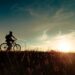 Silhouetted cyclist riding a mountain bike along a grassy hill at sunset.