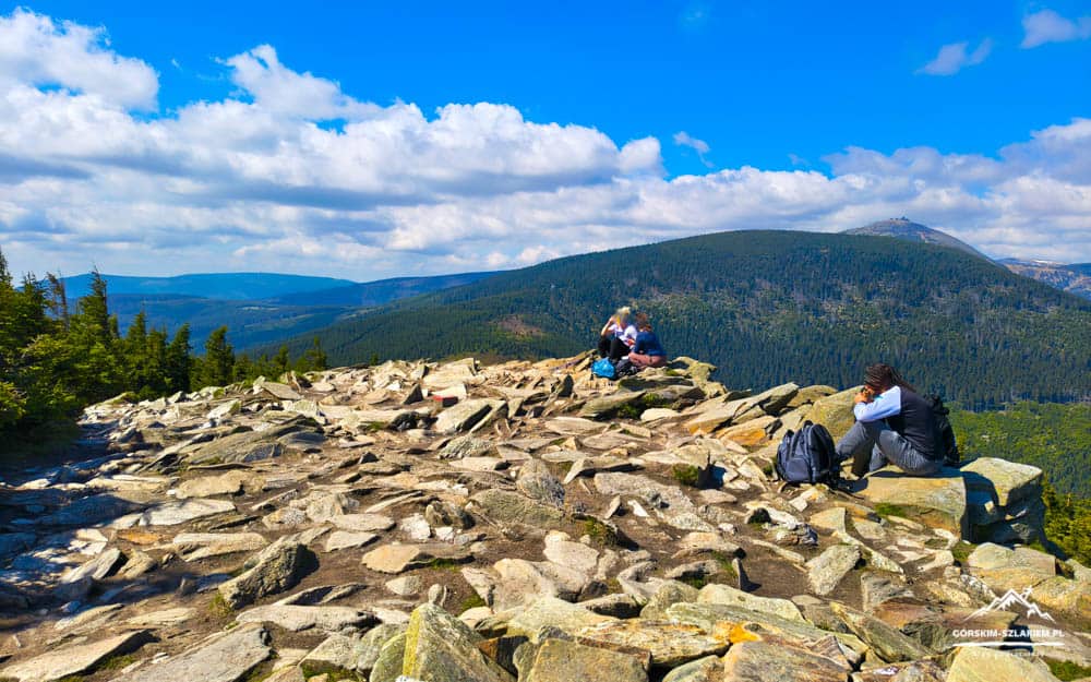 Hikers resting on a rocky mountain summit with backpacks, overlooking forested ridges under a bright blue sky.