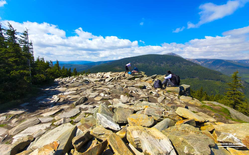 Hikers resting on a rocky mountain summit with pine trees and distant blue valleys under a bright sky.