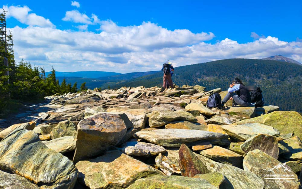 Hikers resting on a rocky mountain summit with backpacks, overlooking forested hills under a bright blue sky.
