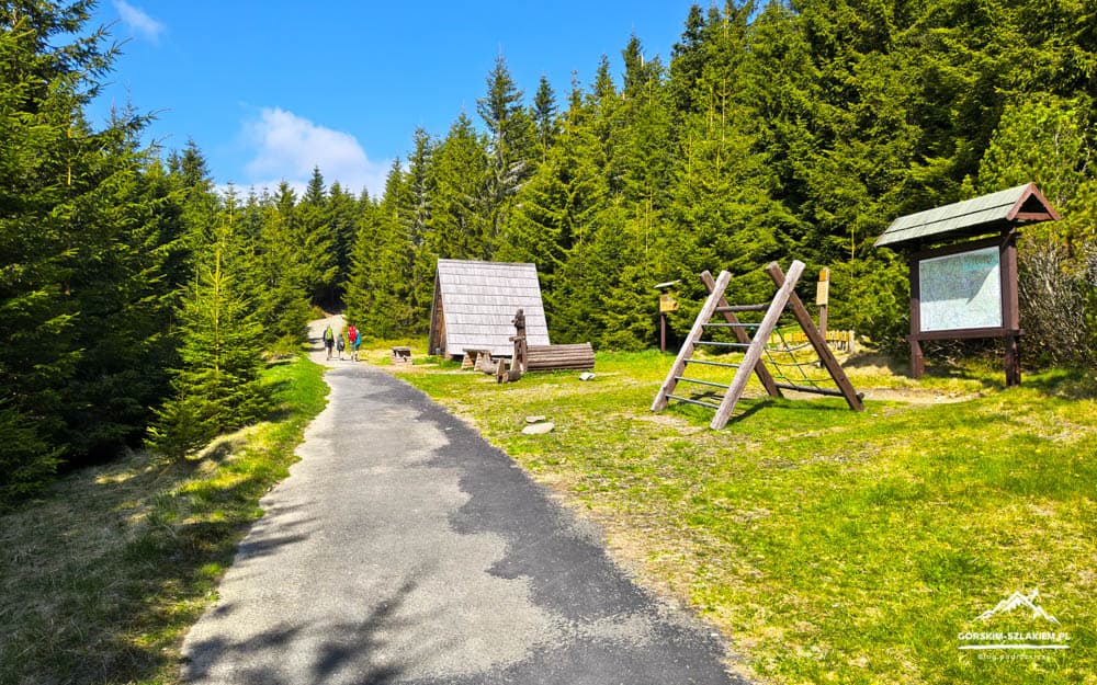 Forest trail through a conifer forest with a paved path, a small wooden shelter, a wooden climbing frame, and an information map board in the clearing; hikers in the distance under a bright blue sky.