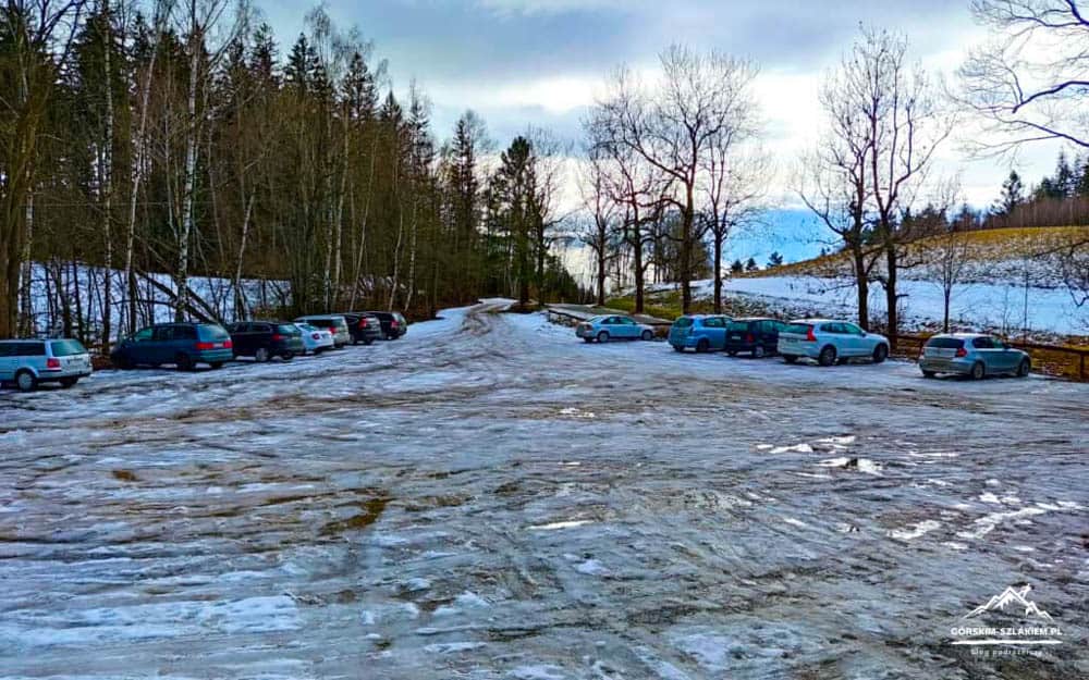 Snow-covered parking lot with several cars along a treeline and bare trees on a cloudy winter day during afternoon light.