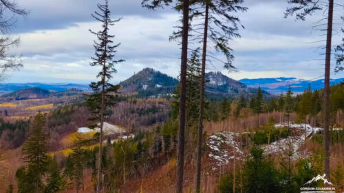 Panoramic mountain landscape with tall pine trees in the foreground and patches of snow on the hills behind. Alpenglow sky with scattered clouds.
