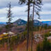 Panoramic mountain landscape with tall pine trees in the foreground and patches of snow on the hills behind. Alpenglow sky with scattered clouds.
