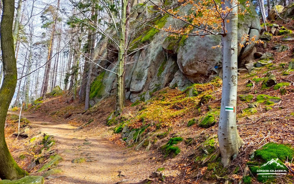 Forest trail winding between mossy rocks and a rocky cliff, with a green-white-green trail marker on a tree.