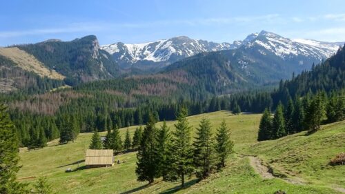 Snow-capped mountains overlook a green valley with pine trees and a wooden cabin in the foreground under a clear blue sky, bright day